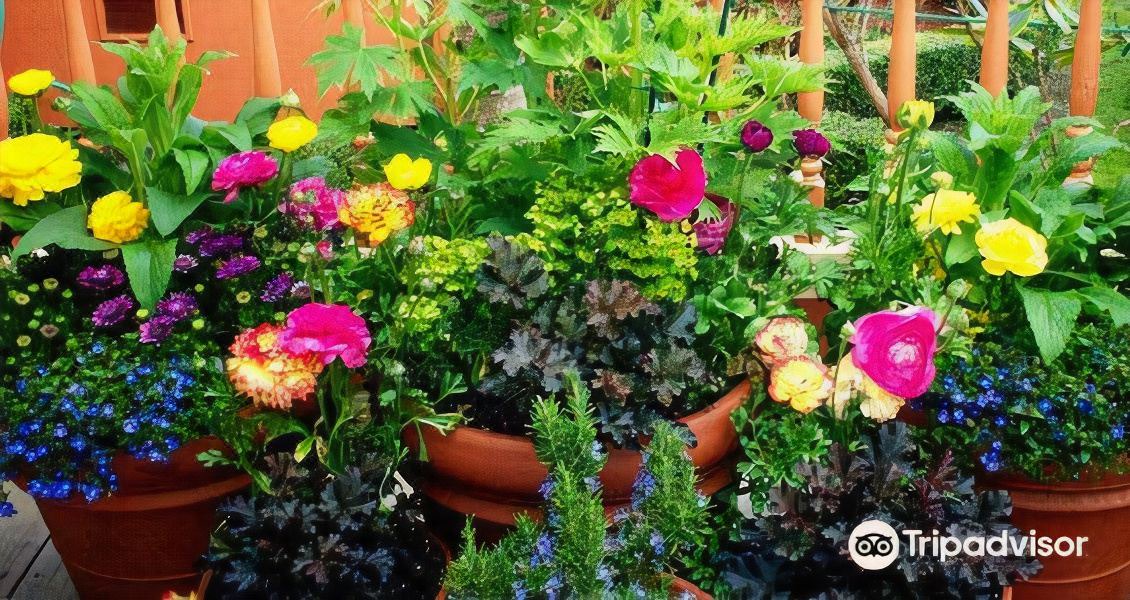 Photo of Patio Balcony in Ferndale
