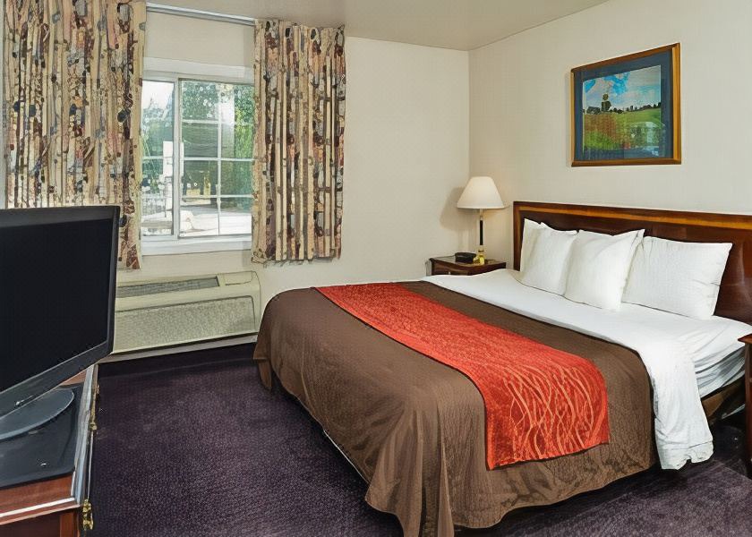 Photo of Bedroom in Weed