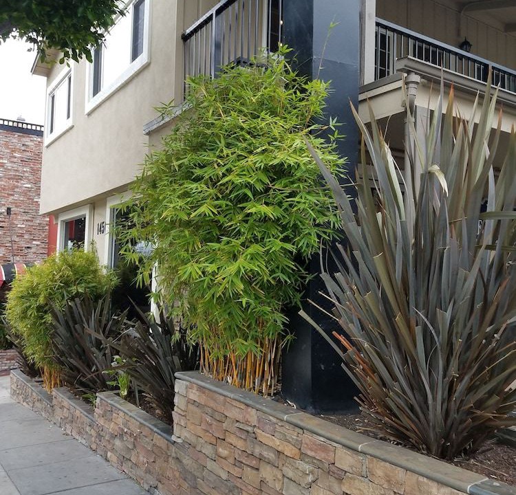 Photo of Buildings in Marina District