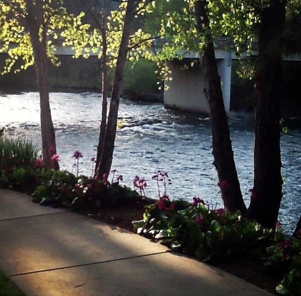 Photo of Others in Shady Cove