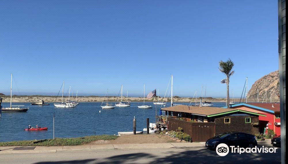 Photo of Others in Morro Bay
