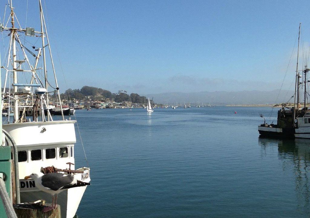Photo of Outdoor in Morro Bay