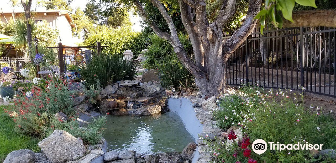 Photo of Others in Carmel Valley