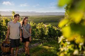 Photo of Others in Paso Robles