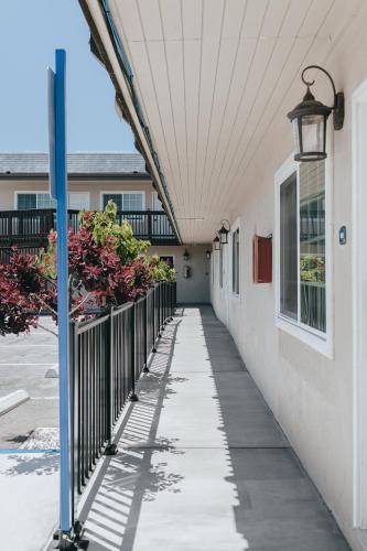 Photo of Others in Morro Bay