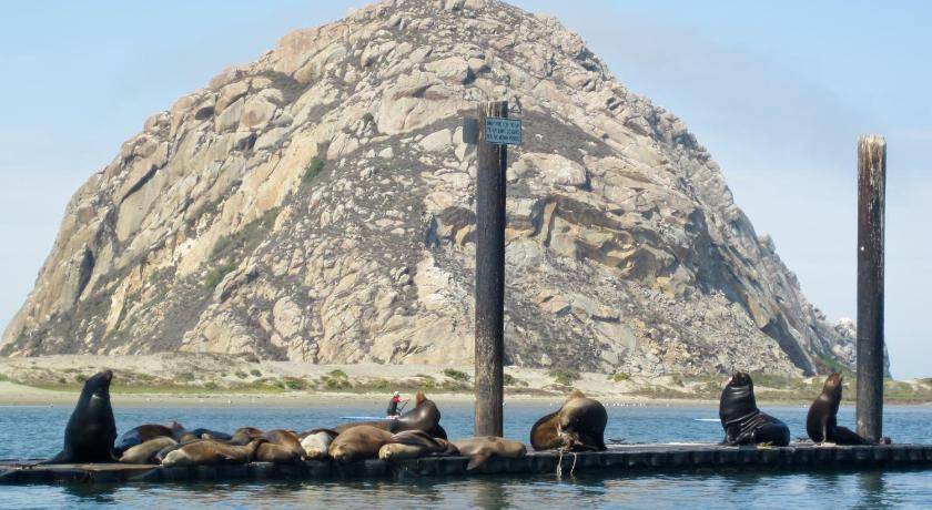 Photo of Others in Morro Bay