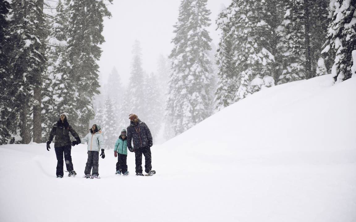 Photo of Others in Truckee