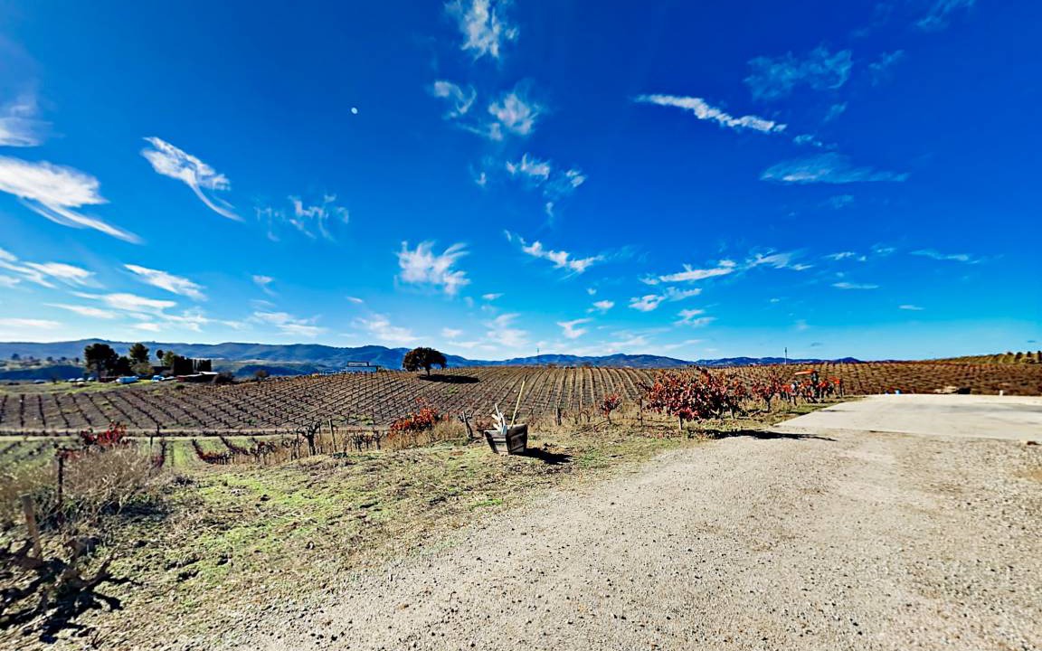 Photo of Others in Paso Robles
