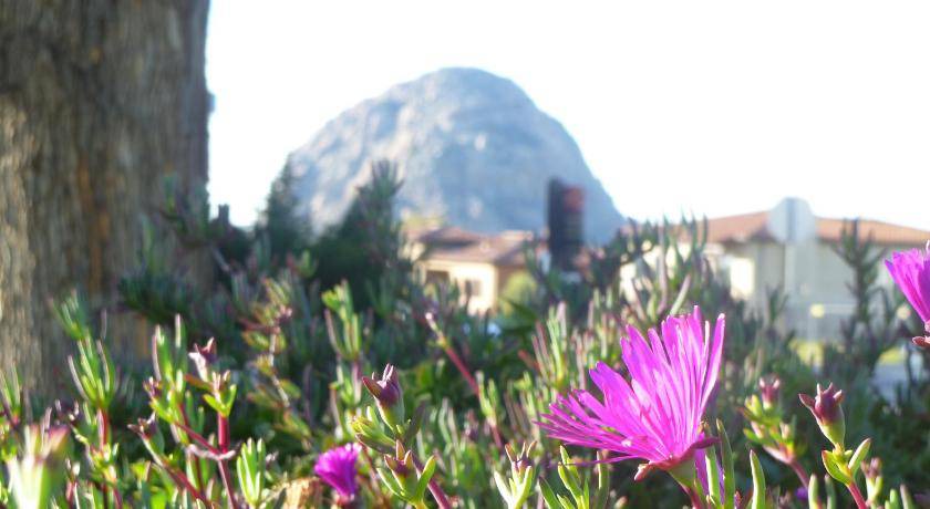 Photo of Others in Morro Bay