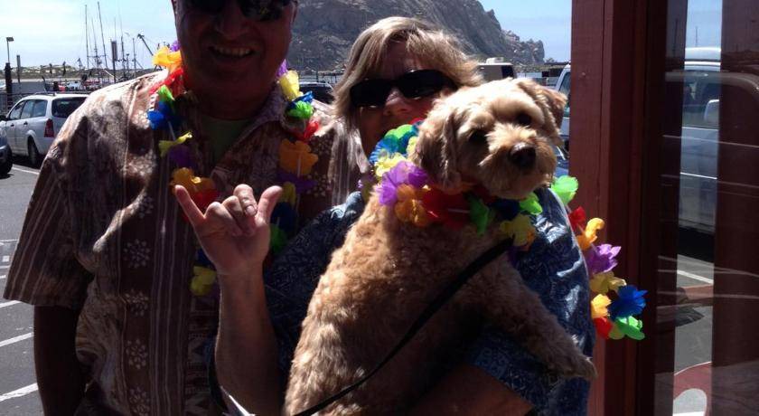 Photo of Others in Morro Bay