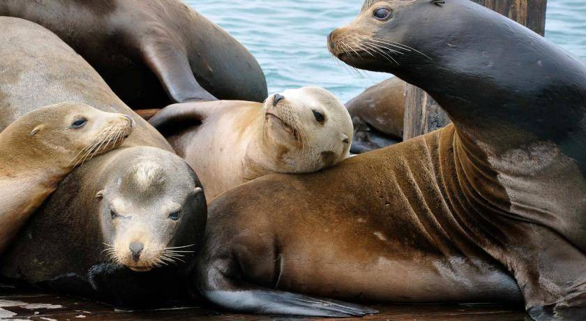 Photo of Others in Morro Bay