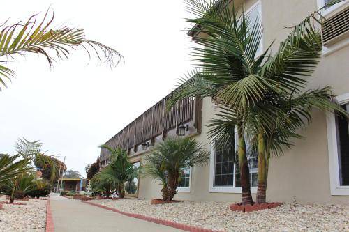 Photo of Buildings in Morro Bay