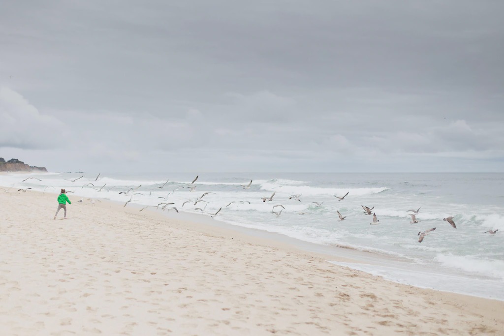Photo of Others in Pilgrim - Triton