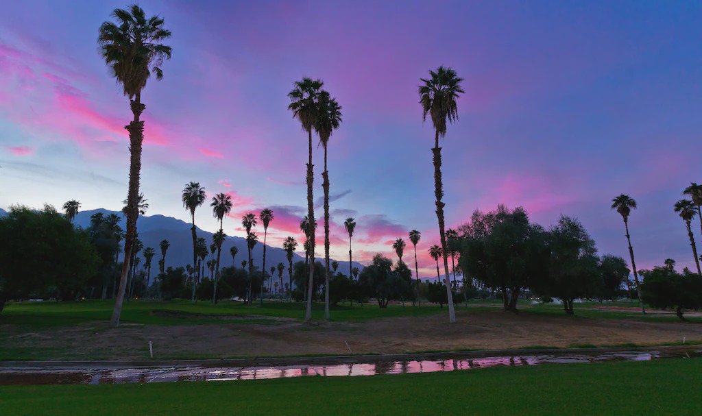 Photo of Others in Palm Springs