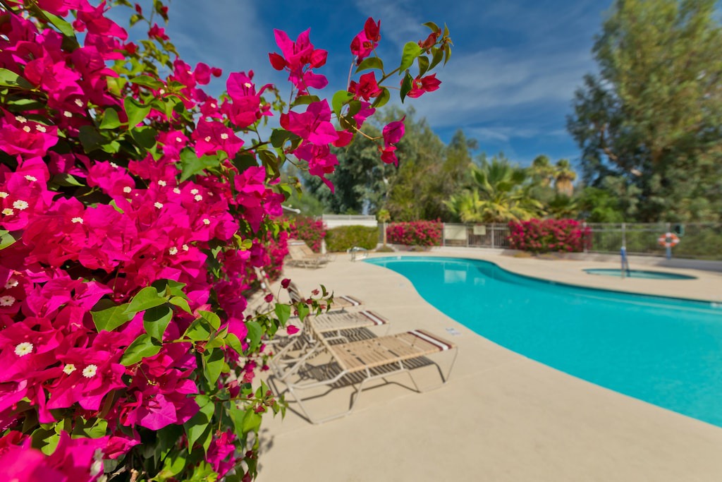 Photo of Outdoor in Palm Springs