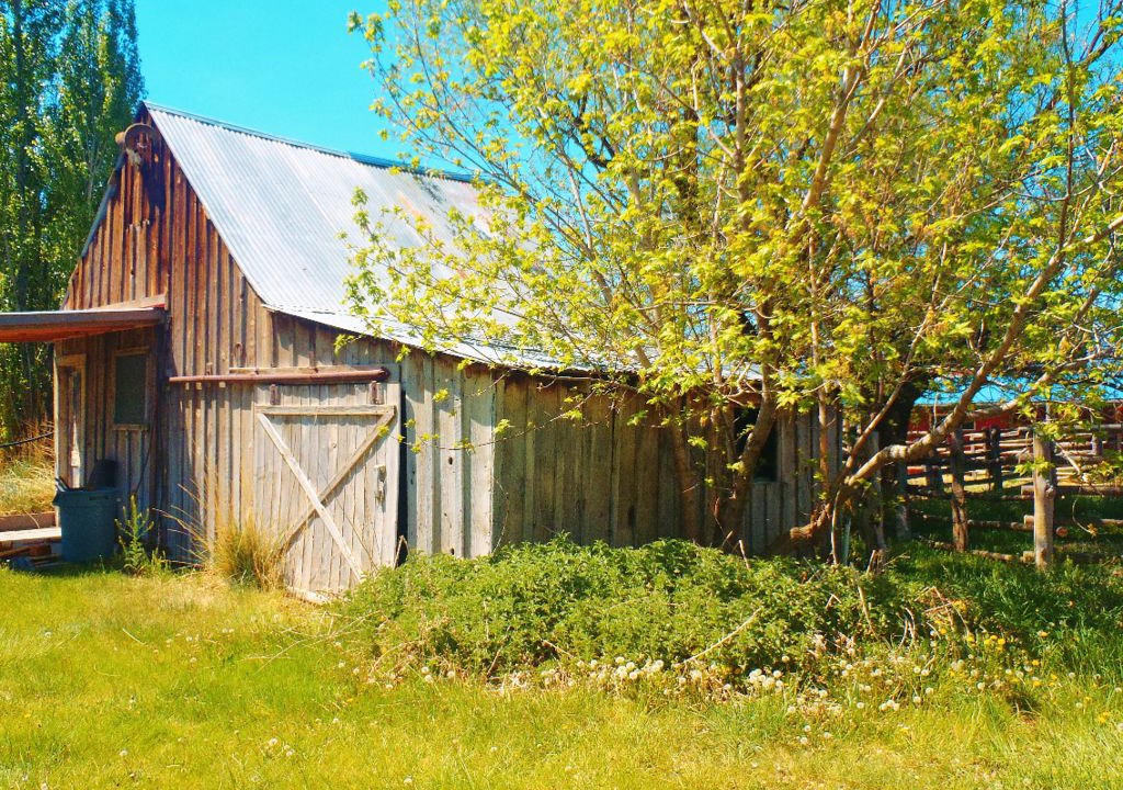 Photo of Buildings in Cedarville