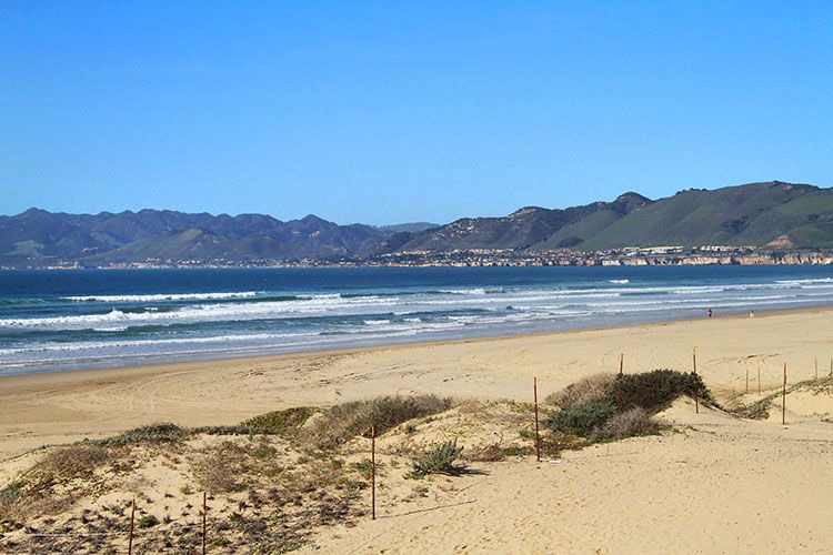 Photo of Outdoor in Oceano