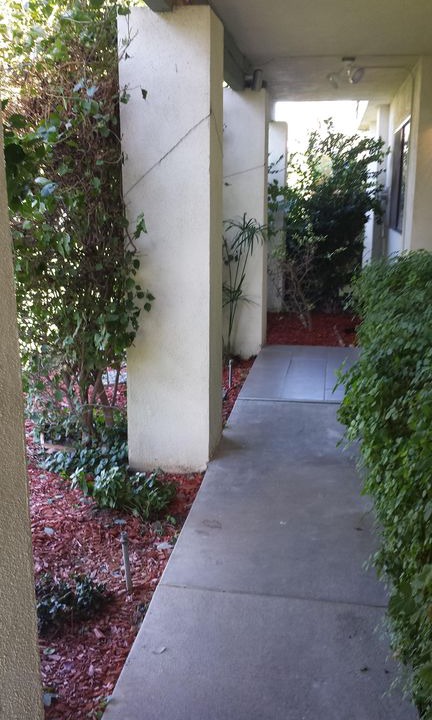 Photo of Others in Sunrise Villas