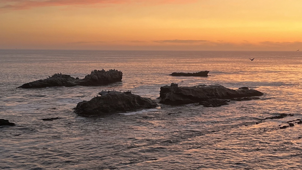 Photo of Others in Shell Beach