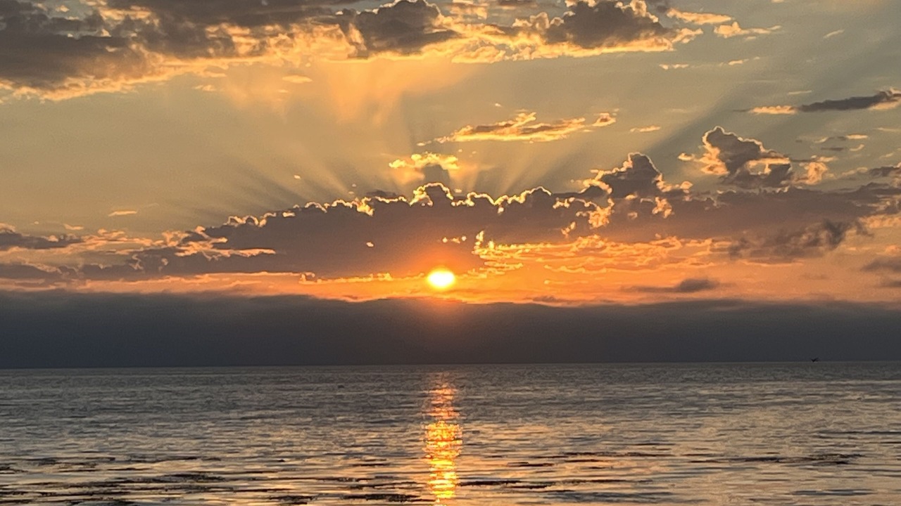 Photo of Others in Shell Beach