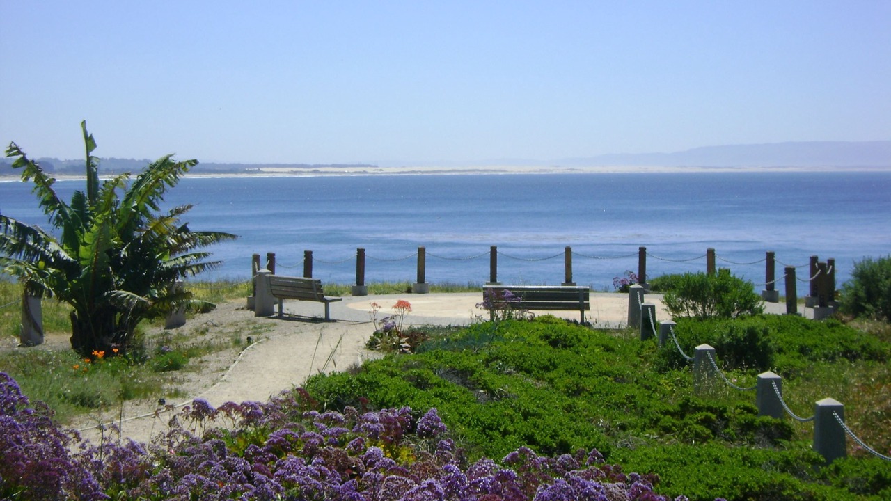 Photo of Outdoor in Shell Beach