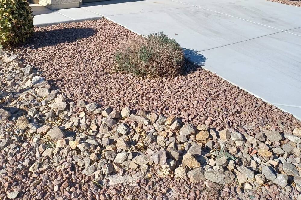 Photo of Outdoor in Pahrump