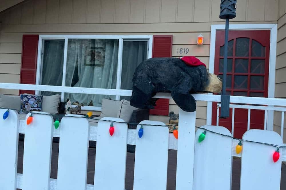Photo of Others in Wrightwood