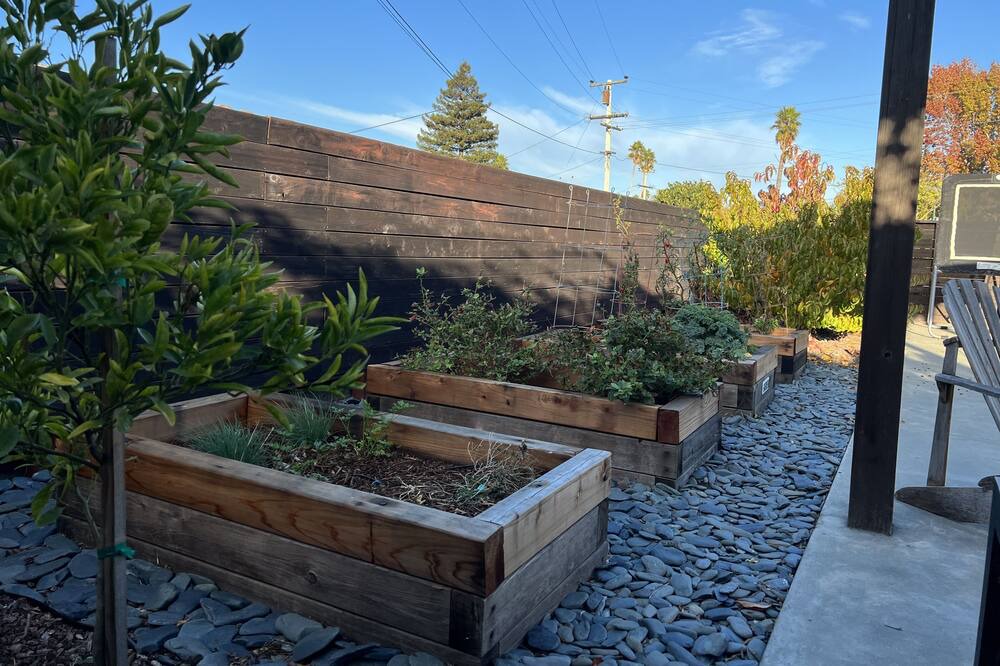 Photo of Outdoor in Corte Madera