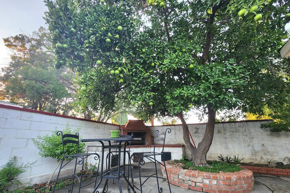 Photo of Outdoor in Winters