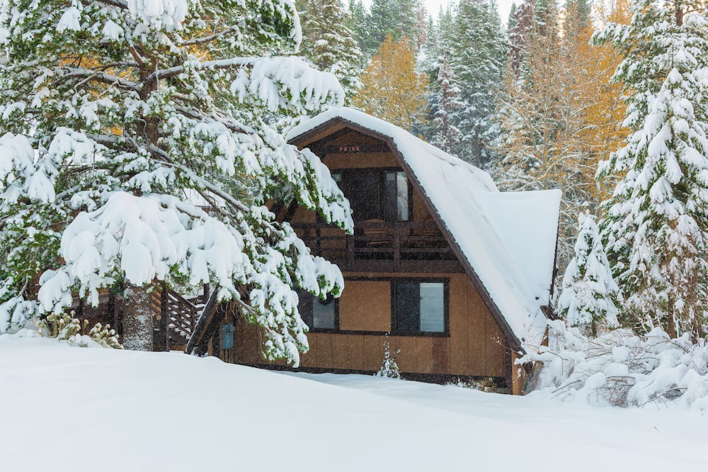Photo of Others in Alpine Meadows