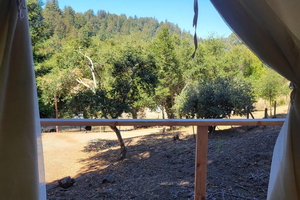 Photo of Others in Soquel