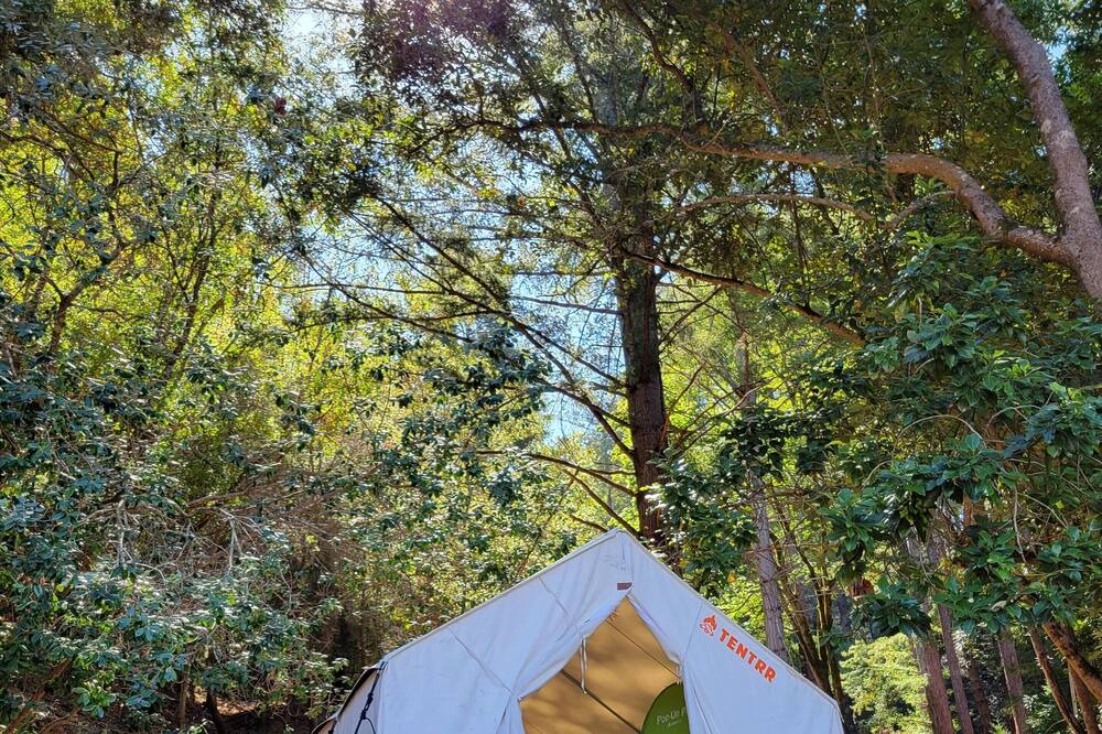 Photo of Others in Soquel