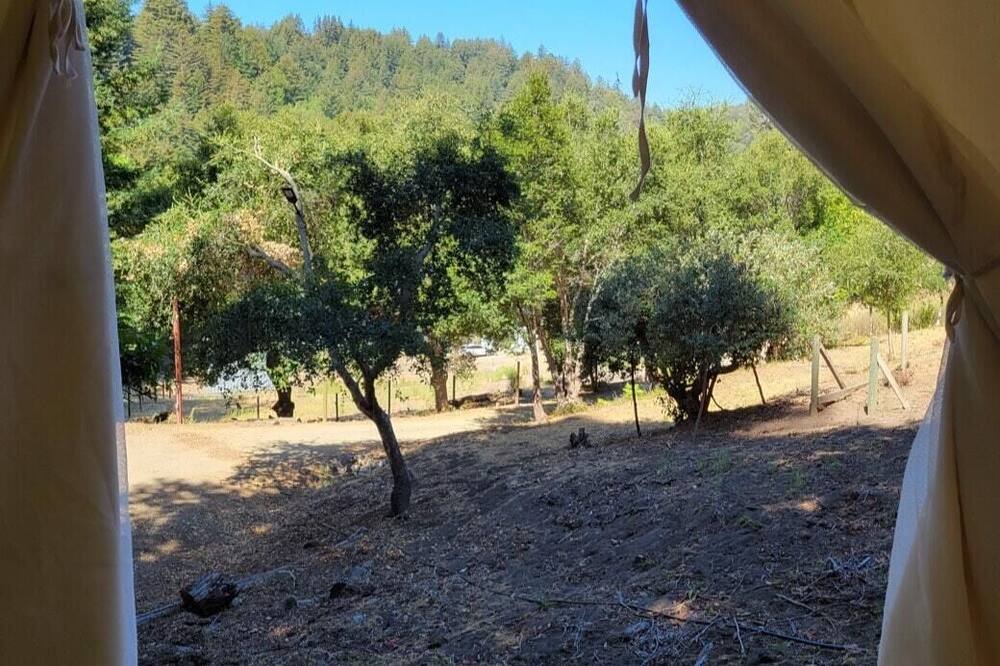 Photo of Others in Soquel