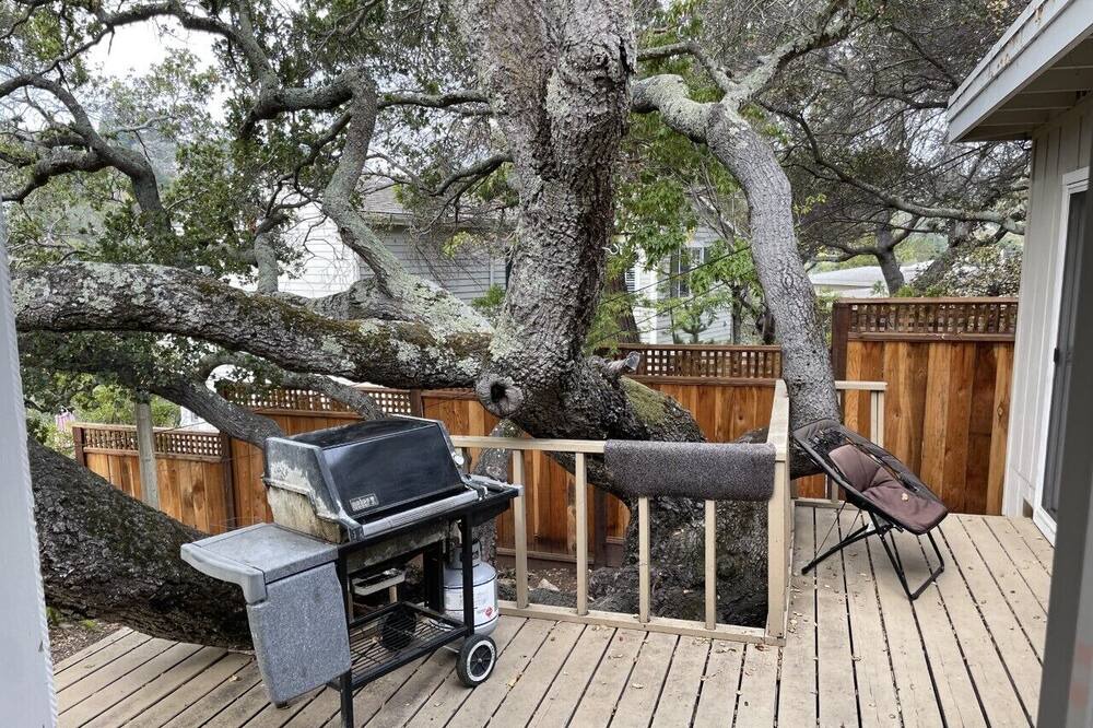 Photo of Outdoor in Belmont