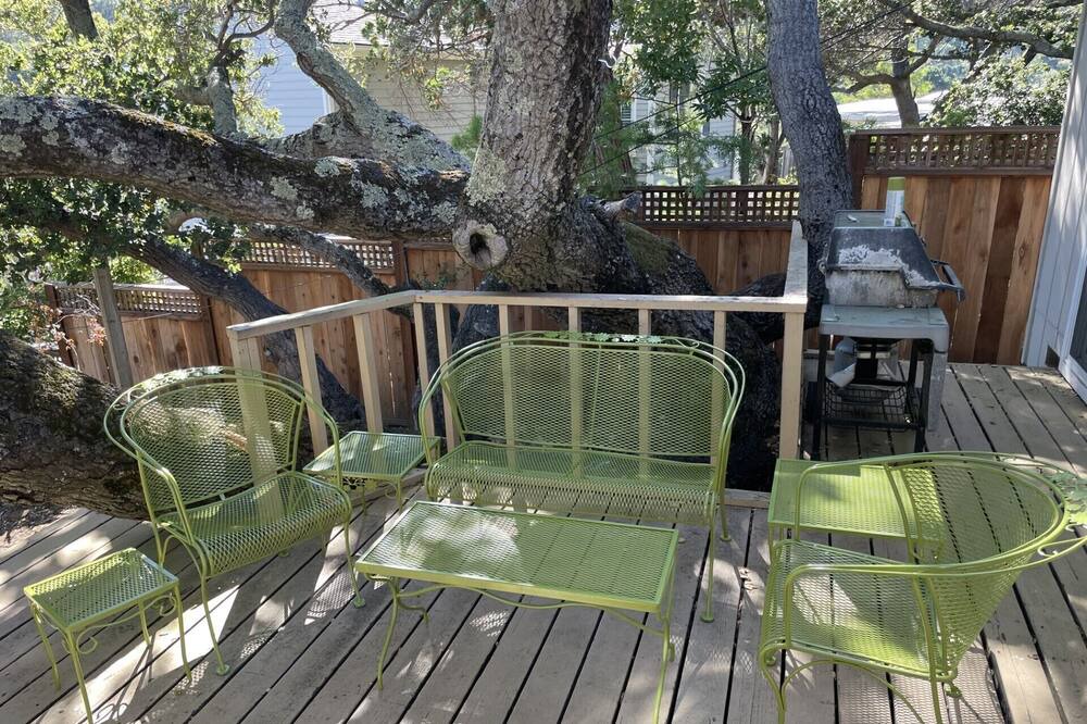 Photo of Outdoor in Belmont