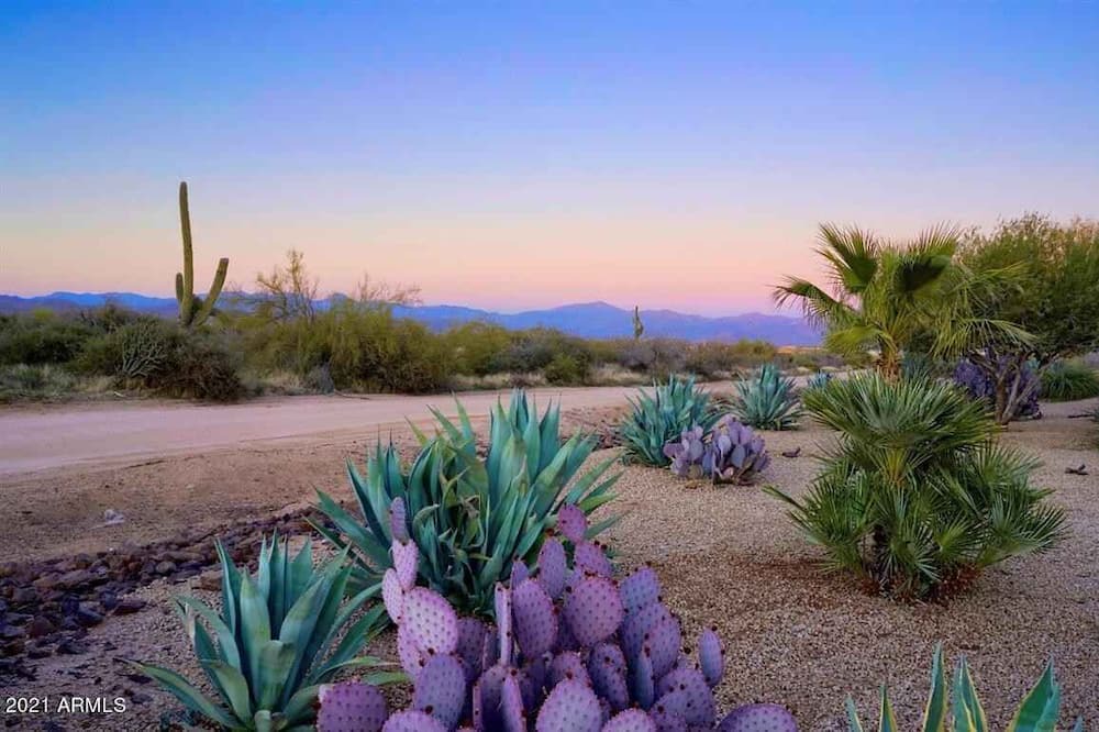 Photo of Others in Sunrise Desert Vistas