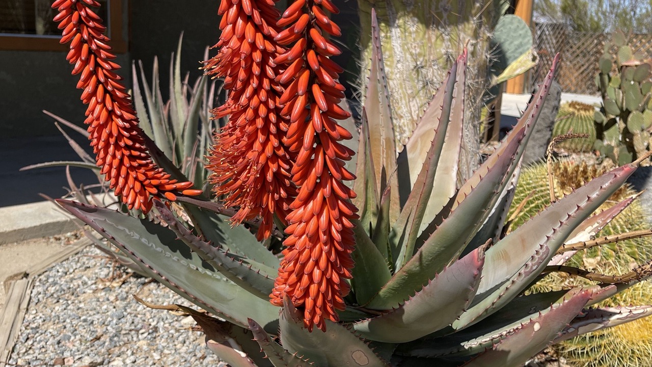 Photo of Outdoor in Indian Cove