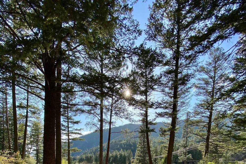 Photo of Outdoor in Missoula