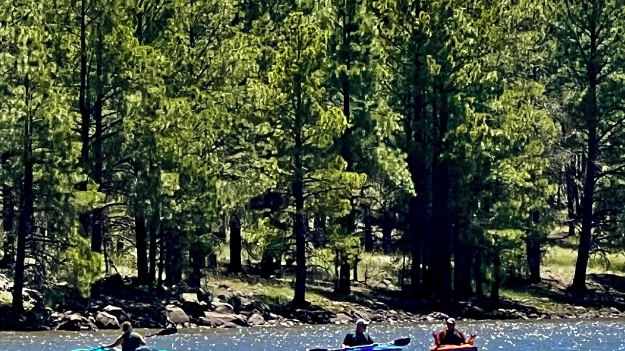 Photo of Outdoor in Munds Park