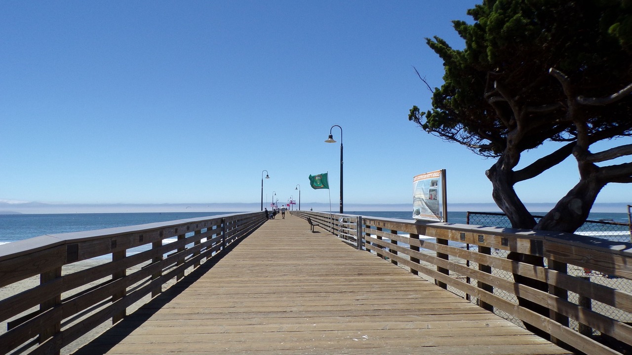 Photo of Others in Cayucos