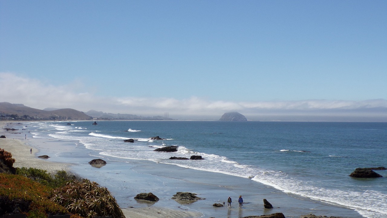 Photo of Others in Cayucos