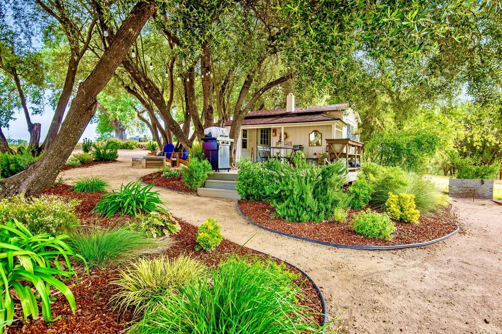 Photo of Others in Paso Robles
