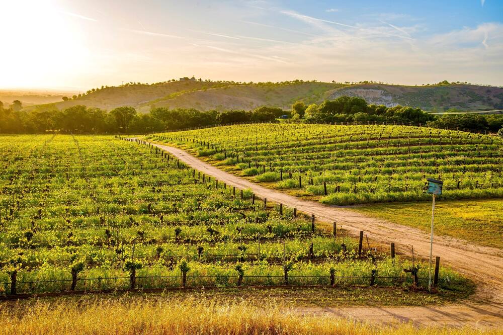 Photo of Others in Paso Robles