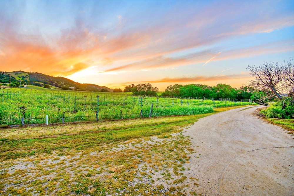 Photo of Others in Paso Robles