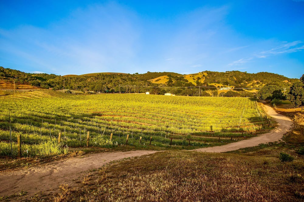 Photo of Others in Paso Robles