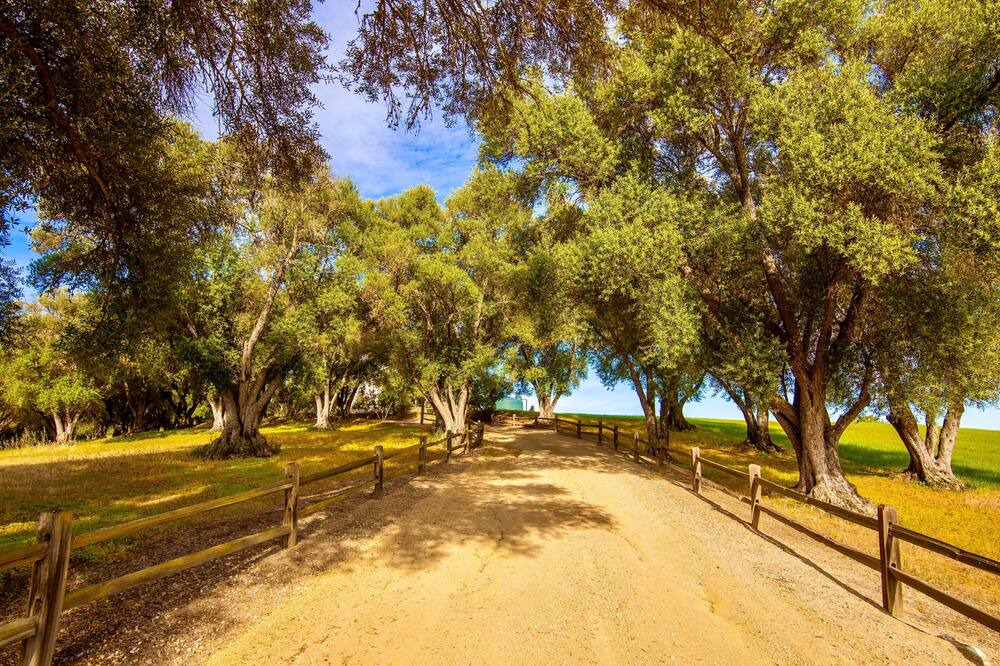 Photo of Others in Paso Robles