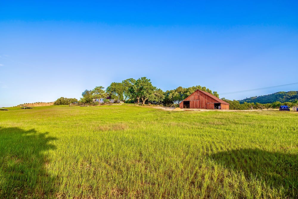 Photo of Others in Paso Robles