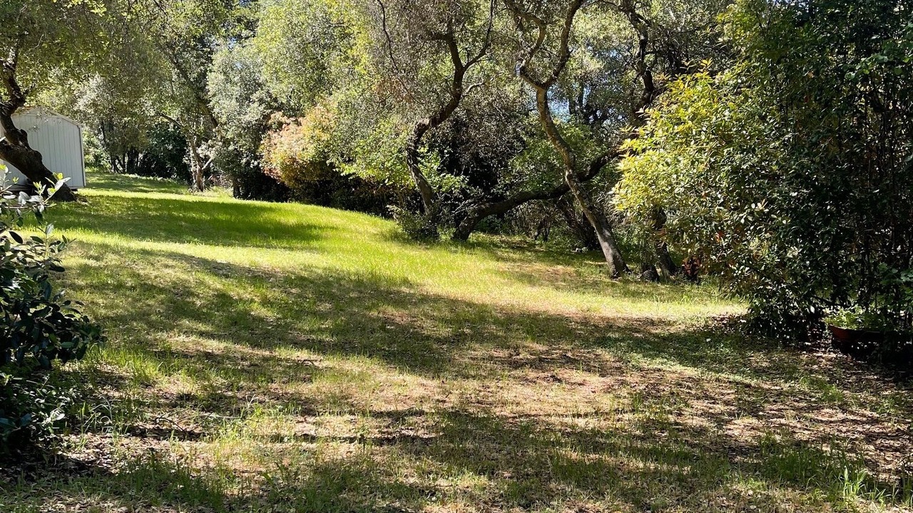 Photo of Outdoor in Shingle Springs