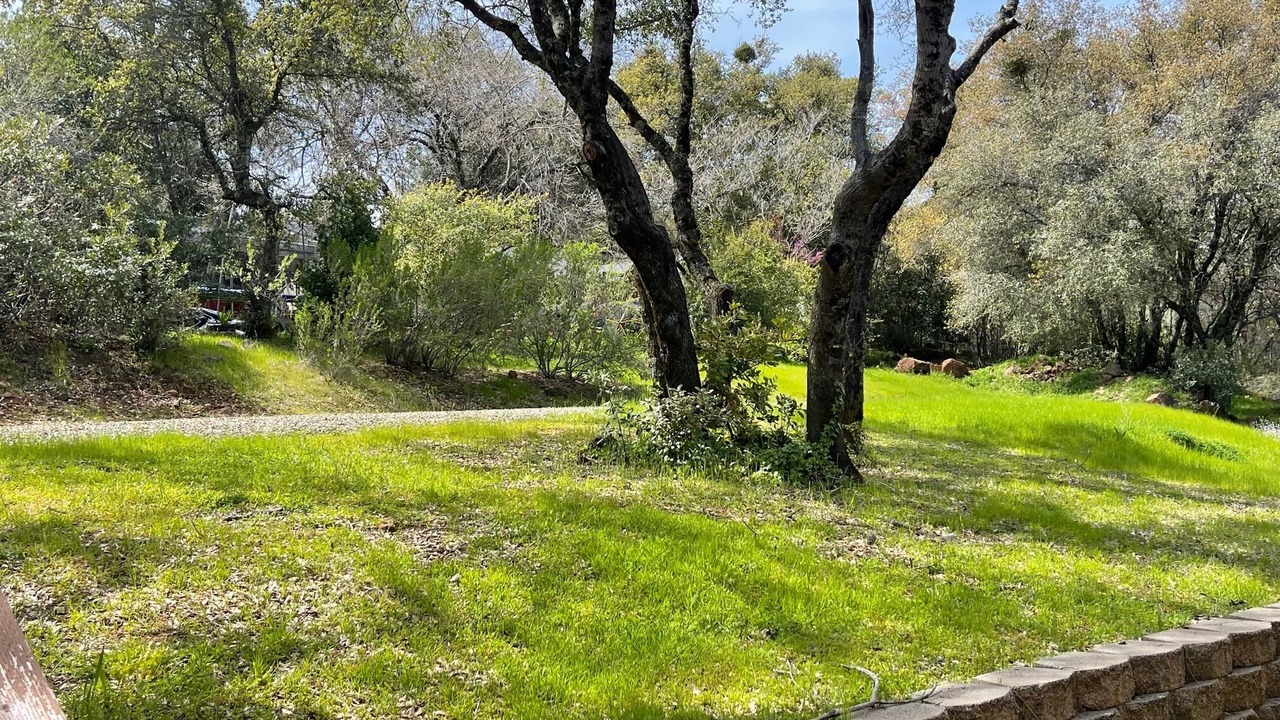 Photo of Others in Shingle Springs