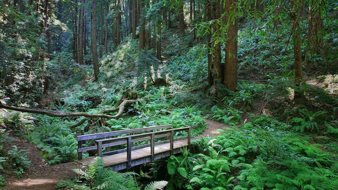 Photo of Outdoor in Redwood City